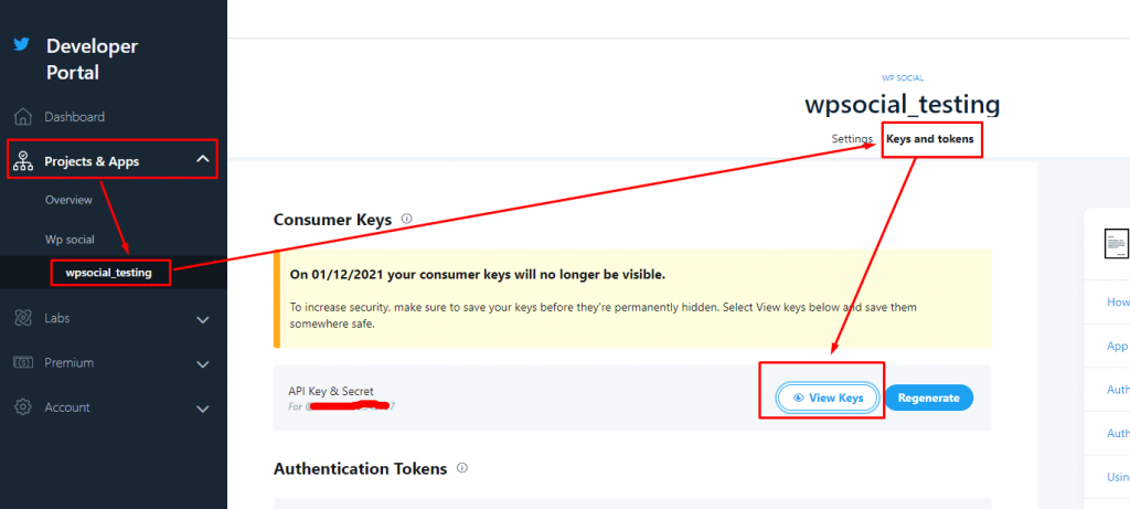 Keys and token - twitter app